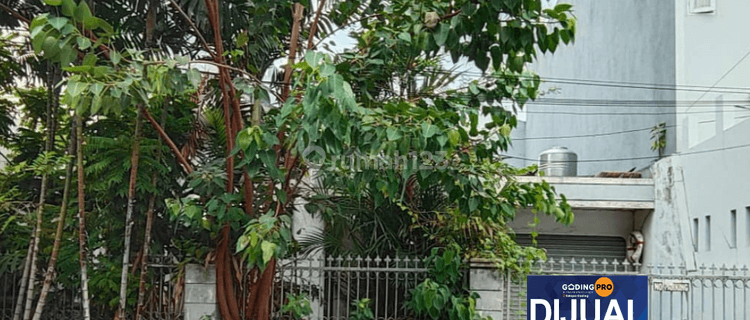 Dijual Murah Rumah Tua Hitung Tanah di Kelapa Gading Nias 1