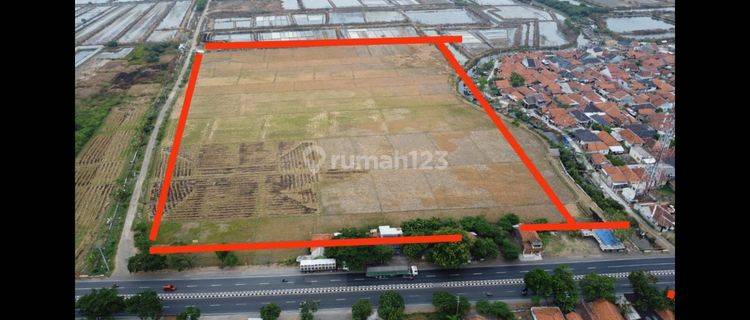 Tanah 5 hectare Di Main Road Jalan Pantura Raya Cirebon 1