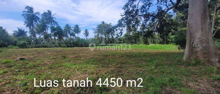 Dijual Tanah Kawasan Industri Kabima Watudambo Minahasa Utara Sulawesi Utara 1