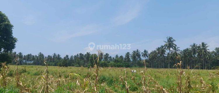 Dijual Tanah Di Jalan Raya Manado Bitung Kauditan Watudambo Kawasan Industri Kabima Sulawesi Utara 1