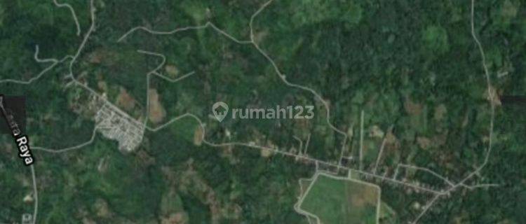 Dijual Tanah Murah 20 Ha Dekat Bandara Sam Ratulangi Desa Wusa Mapanget Sulawesi Utara Di Jalan Kebun Wusa, Talawaan 1