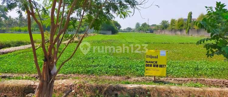 Dijual Tanah Di Tipar Cakung, Cilincing Hgb - Hak Guna Bangun 4.8 Ha Dibawah Njop 1