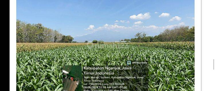  TN026 , Dijual Sebidang Tanah Sawah di Daerah Loceret, Nganjuk  1