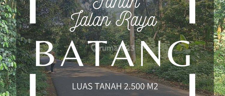 Tanah Jalan Raya Limpung Batang  1