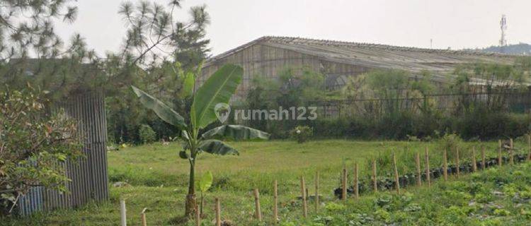 Dijual Tanah Kavling Luas 150m2 di Sersan Bajuri Lembang Bandung 1