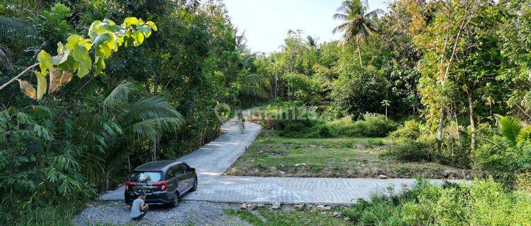 Dekat Stadion Cangkring Kulon Progo, Murah 700 Rb M2 1