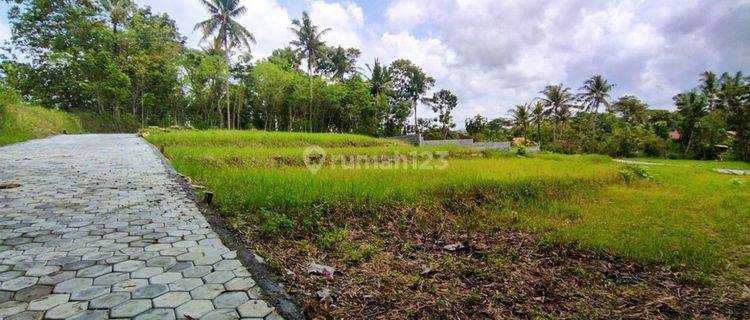 Tanah Murah Jogja 100 Jtan, Dekat Polres Kulon Progo 1