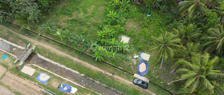 Tanah Temon Kp, Utara Bandara Yia Jogja, 100 Juta An 1