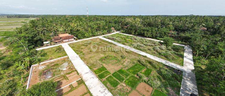 Tanah Purworejo di Jalur Lintas Selatan, SHM Pekarangan 1