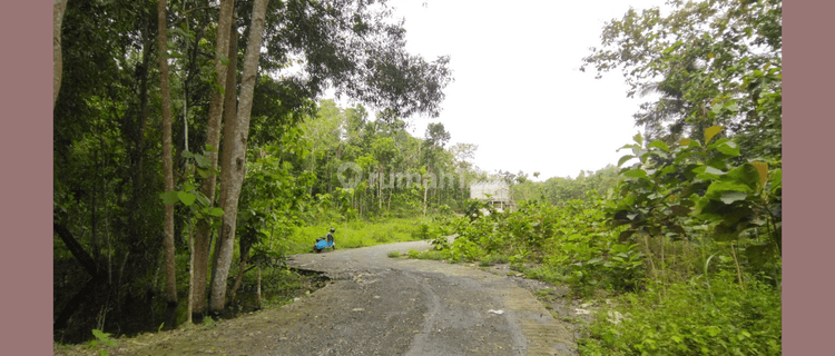 Tanah Jogja Murah, Hanya 80 Jtan, Area Strategis Kulon Progo 1