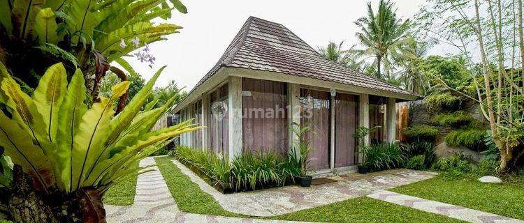 Leasehold 25 Years Villa In Ubud With Ricefield View  1