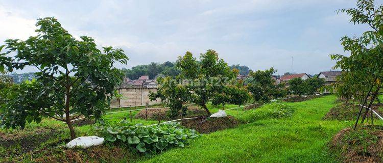 Tanah Luas Cocok Untuk Perumahan Di Jatinangor Bandung Sumedang 1