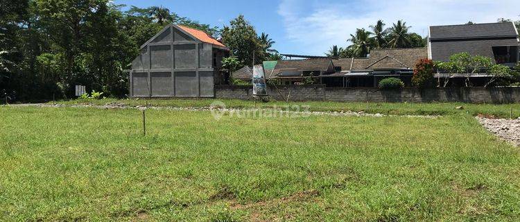 Tanah Bisa Nego Keras Di Tepi Jalan Besar Kawasan Borobudur Magelang 1