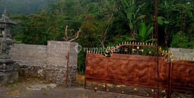 Dijual Cepat Tanah Kawasan Wisata Turyapada Buleleng Bali 1