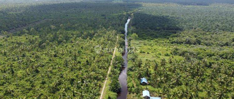 Dijual Cepat Tanah Peniti Sekadu Hilir Kalimatan Barat 1