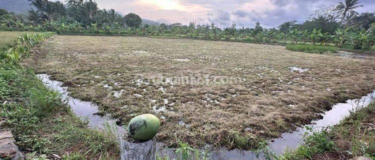 Dijual Cepat Tanah Carita Pandeglang 1