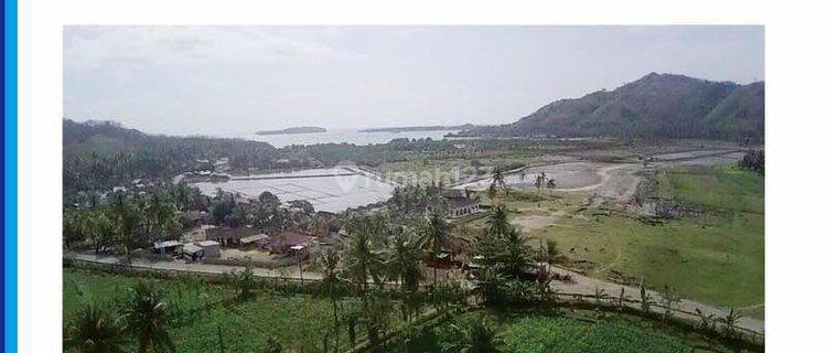 Dijual Cepat Lahan Luas Di Lombok Utara Nusa Tenggara Barat 1