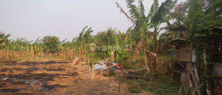 Tanah komersial MURAH  jalan lingkar luar Cengkareng  1