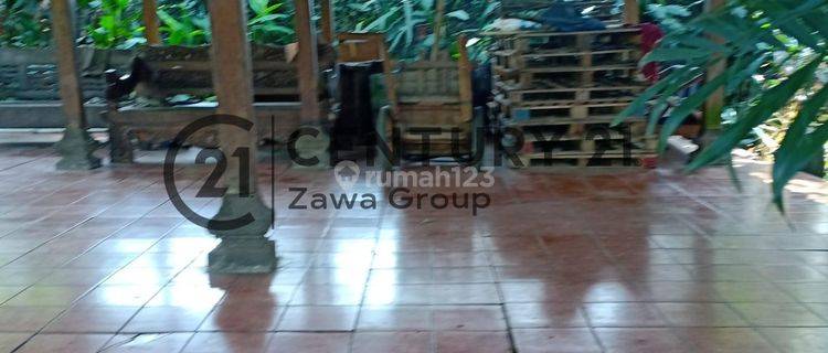 Dijual Tanah Kebun Buah di Sukamaju Cimanggis Depok 1