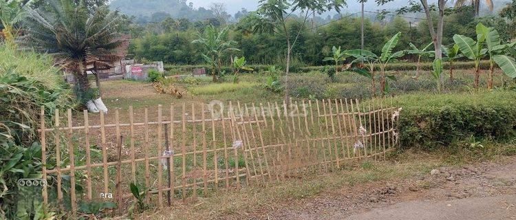 Tanah Di Subang Dekat Dengan Akses Tol ,cocok Untuk Investasi  1