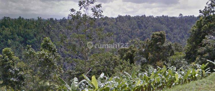 Tanah Cocok Untuk Perumahan Atau Pemukiman Dekat Pusat Kota 1
