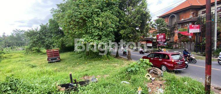 LAND STRATEGICALLY LOCATED BESIDE THE HIGH ROAD IN GIANYAR CITY 1