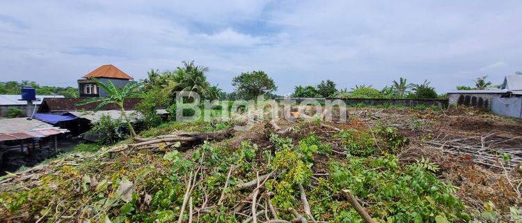 Tanah luas di Jl Angantaka Gianyar 1