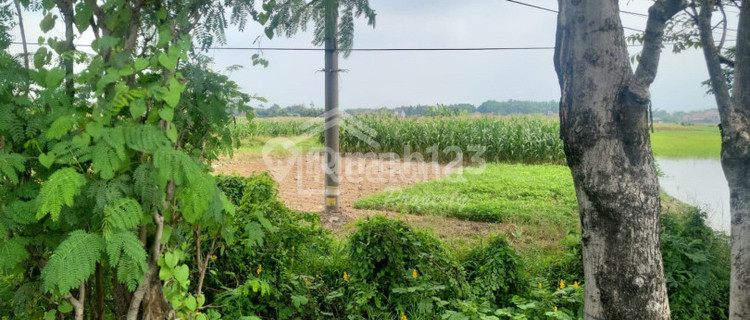 Tanah di Pantura , Kendal Me Ag 6379 1
