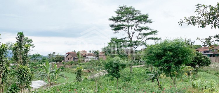 Land in Bandungan, Semarang Si Me 6677 1