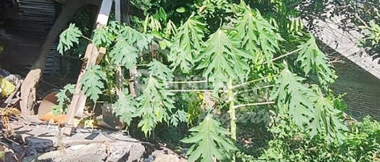 Land in Karangrejo, Banyumanik, Semarang, Yv 6882 1