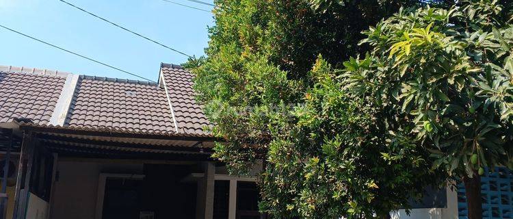 Dijual Rumah Minimalis Di Bumi Adipura Harga Murah 1