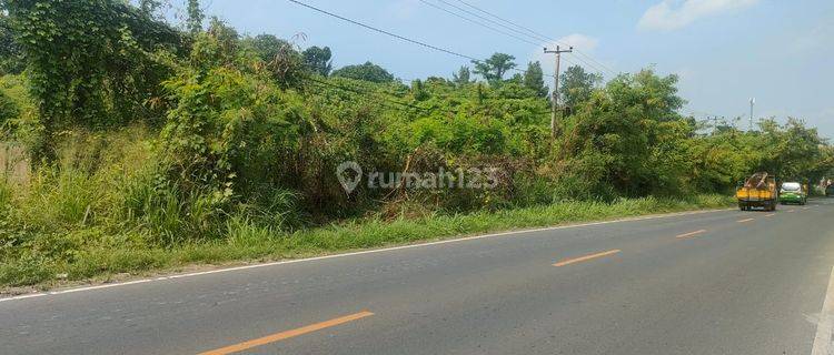 Kavling 1Ha Lokasi Strategis Pinggir Jalan Raya di Serang 1