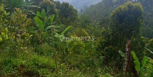 Tanah Kawasan Wisata Turyapada Siap Pakai Murah Buleleng 1