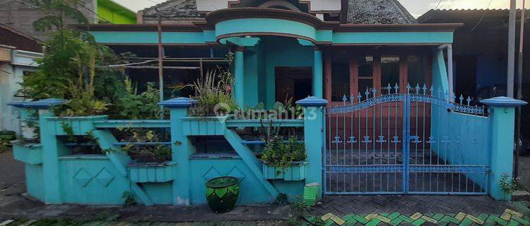 Dekat Semen Indonesia Veteran Rumah 2 Lantai Awikoen Gresik Murah 1m An Nego 1
