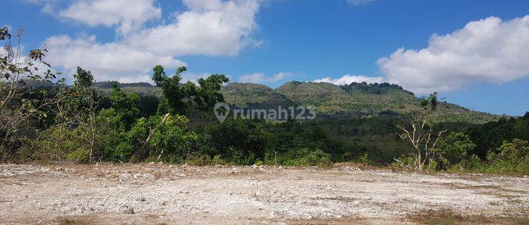 Tanah Ada Emas di Bau Bau, Bombana SHM 350 Ha Sulawesi Tenggara 1