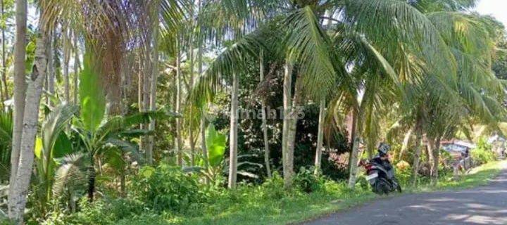 Land in Jembrana, Jembrana Bali SHM 93 Are 1