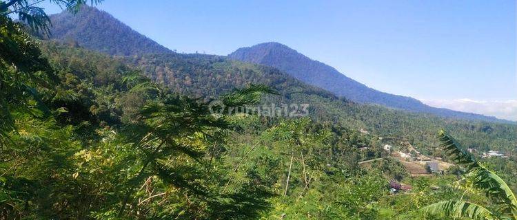 Tanah di Munduk, Buleleng SHM 87,5 Areview Gunung Dan Laut 1