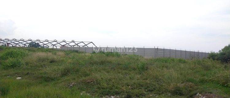 Dijual Tanah di Mundu Pesisir Cirebon  1