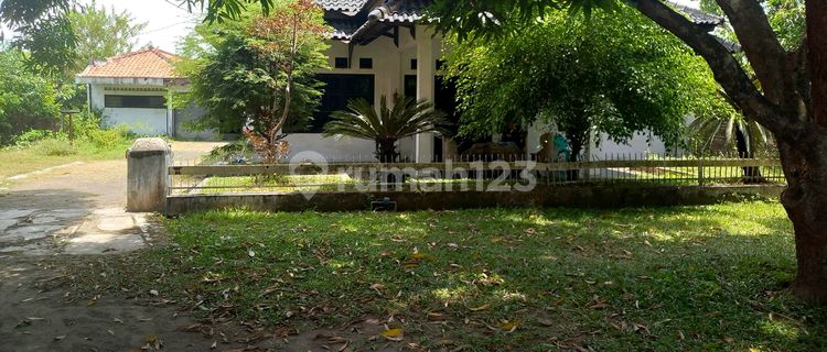 Rumah Besar .halaman Luas.lebihan Tanah (ag) 1