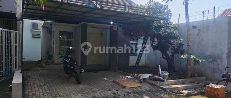 Disewa Rumah Semi Furnised di Kepompongan Talun (El) 1