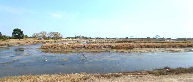 Dijual Tanah di Desa Jatimerta, Kec. Gunung Jati , Cirebon 1