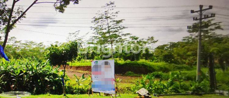 LAHAN TANAH KOSONG 1, 2 HA DI SECANG 1