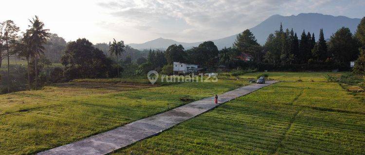 View Terindah, Kavling Villa Pribadi, Depan Gunung Puncak, Bogor 1