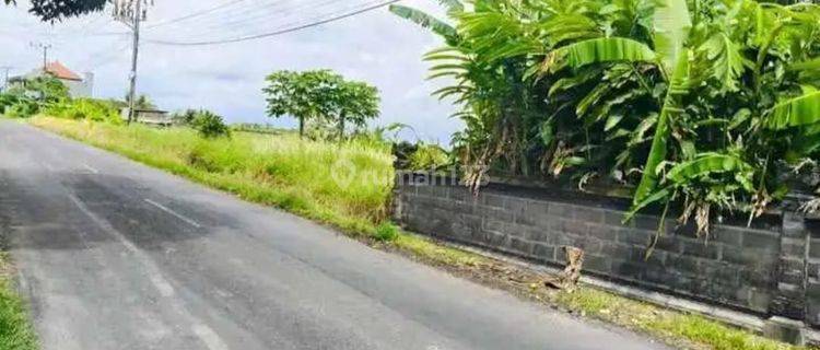 Tanah Di Area Kaba Kaba Tabanan Cocok Untuk Usaha 1
