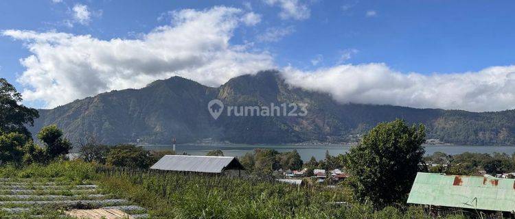 (92). Land For Sale With Rice Field And Mountain View 1