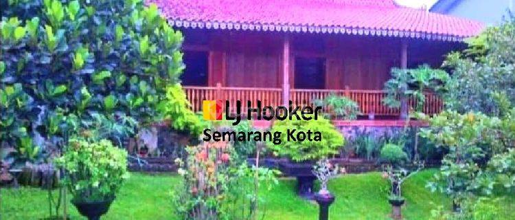 Rumah Joglo Di Lerep Ungaran Barat Cocok Untuk Villa 1