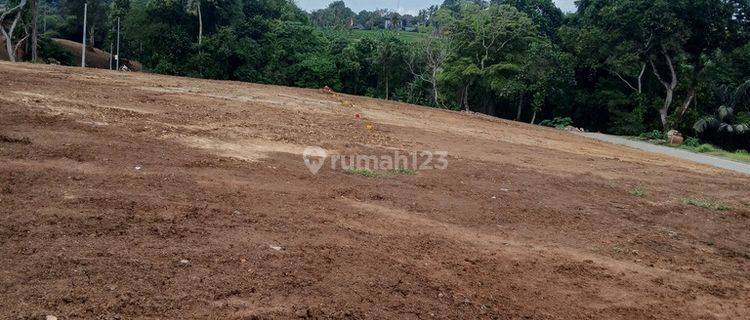 Land For Rent, Kedungu Area 1