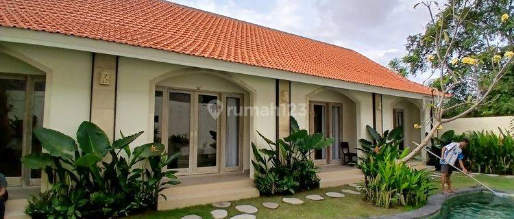 Brand New Guest House For Rent, Kerobokan Area 1