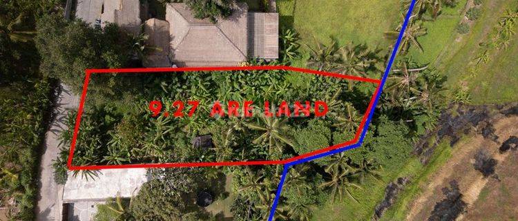 Prime Land For Lease, Kedungu Area 1