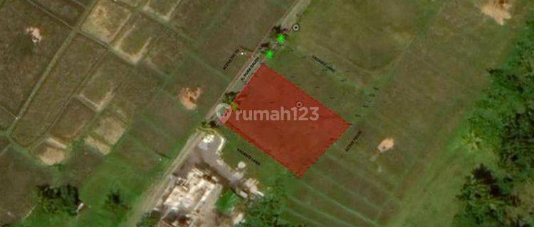 Land For Lease 23 Years In Kedungu 1